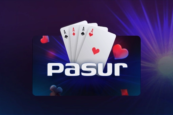 07499 pasur