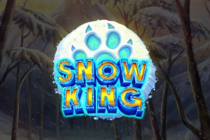 19849 snow king