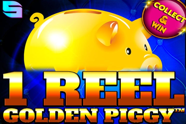22172 1 reel golden piggy